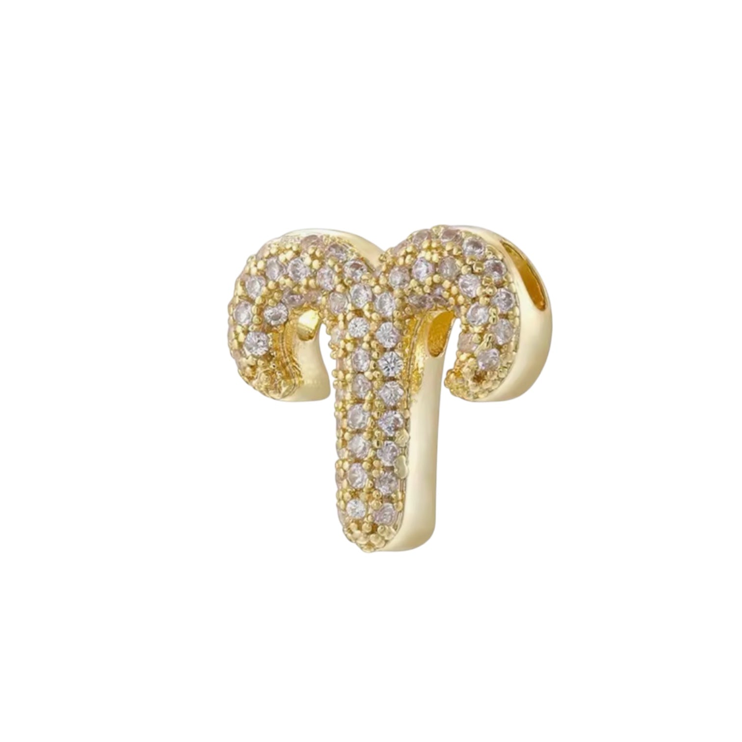 Charm Zodiaco Icona