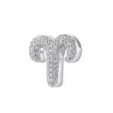 Charm Zodiaco Icona