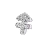 Charm Zodiaco Icona