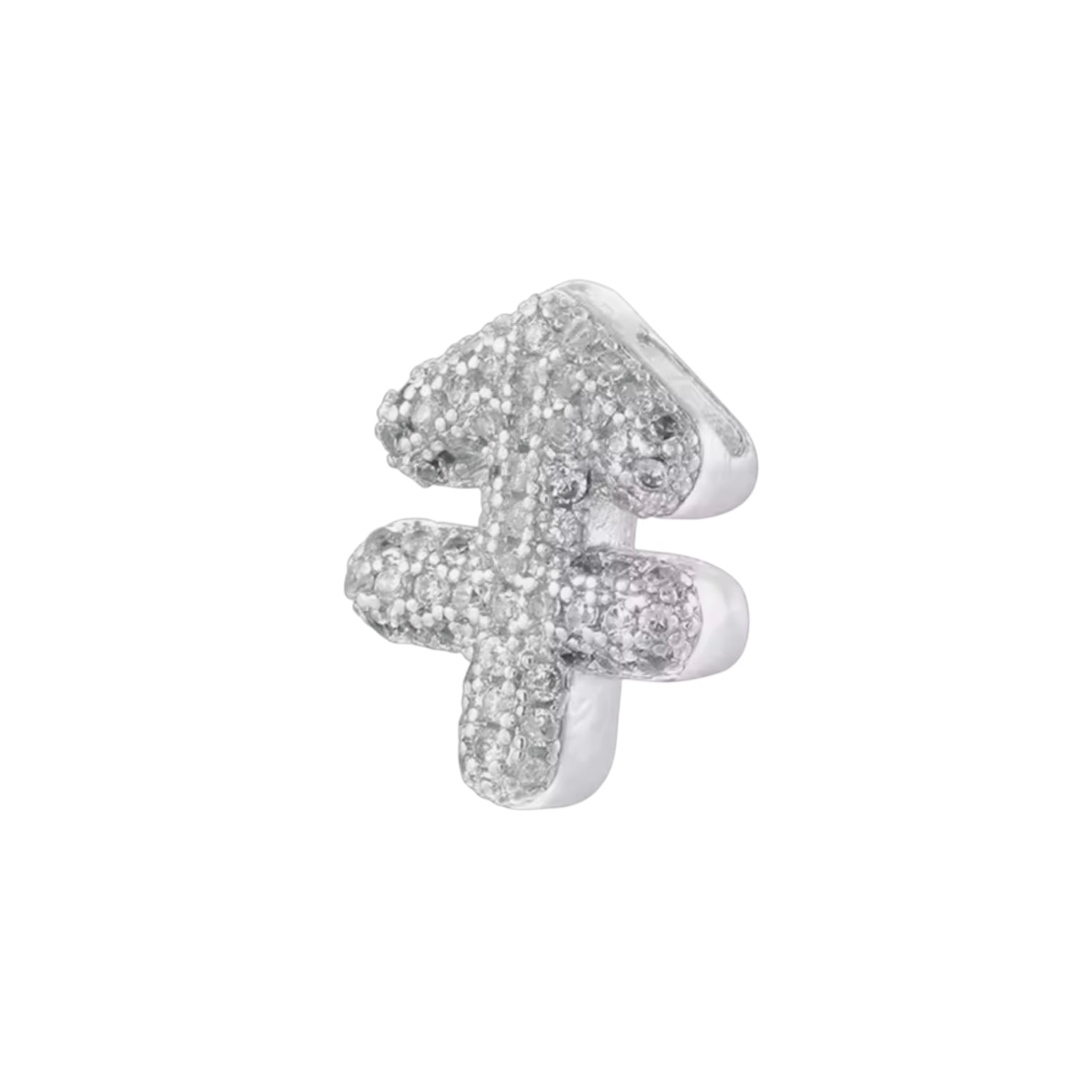 Charm Zodiaco Icona