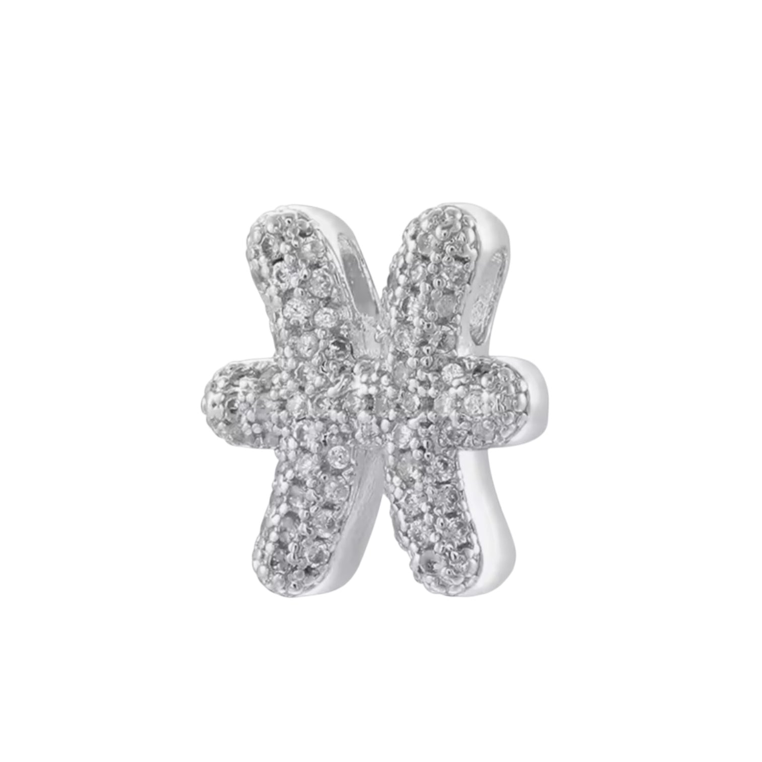 Charm Zodiaco Icona