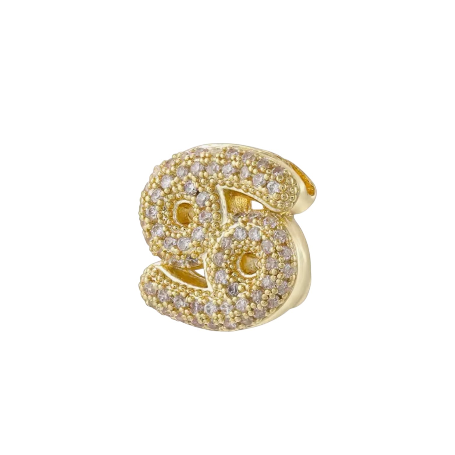 Charm Zodiaco Icona