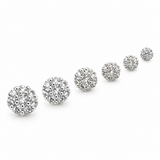 Set Lobo Ilia, sei orecchini a fiore luminoso in misure scalari, versione silver