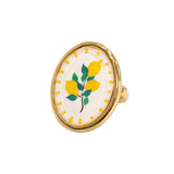 Anello elastico frutta