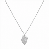 Collana anatomico