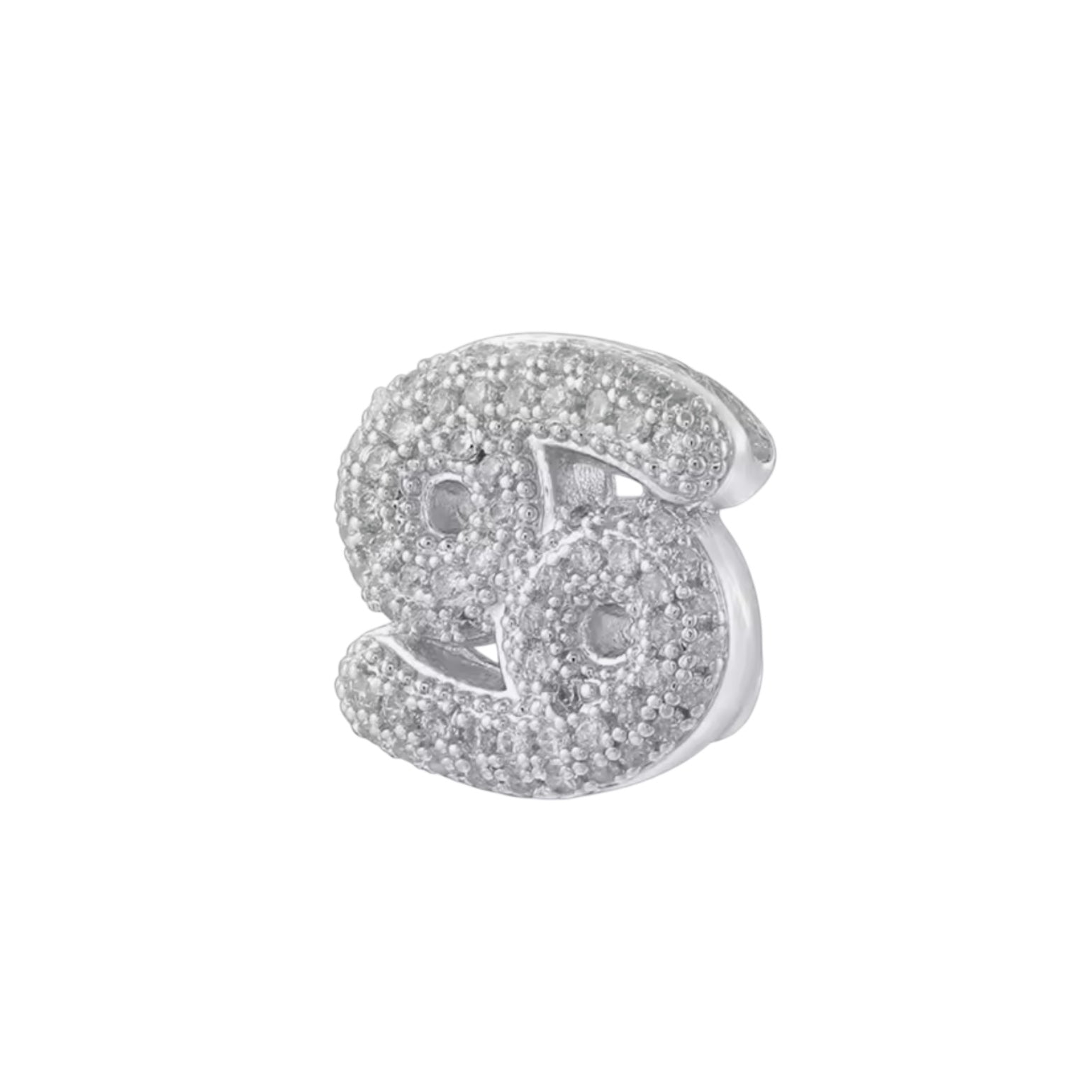 Charm Zodiaco Icona