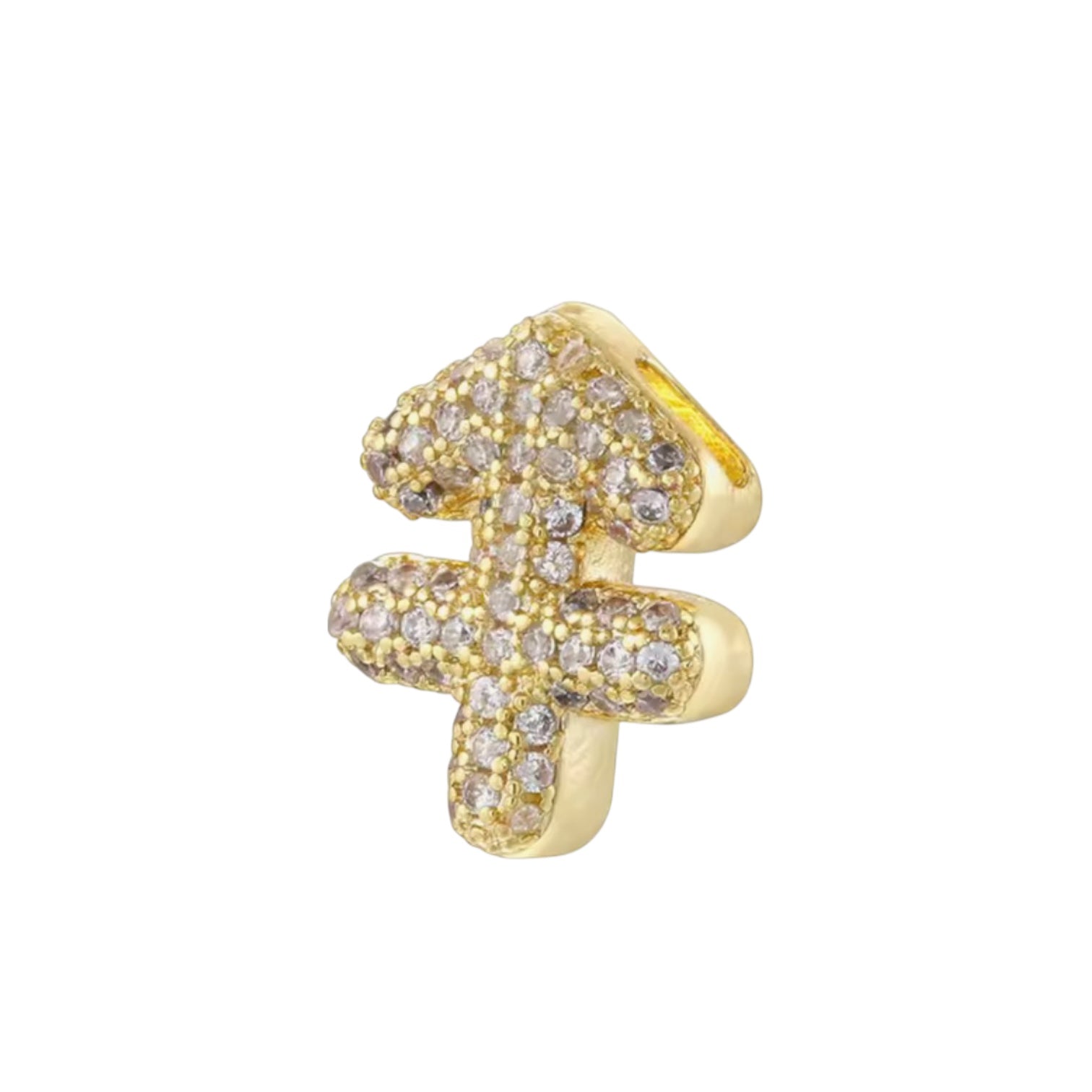 Charm Zodiaco Icona